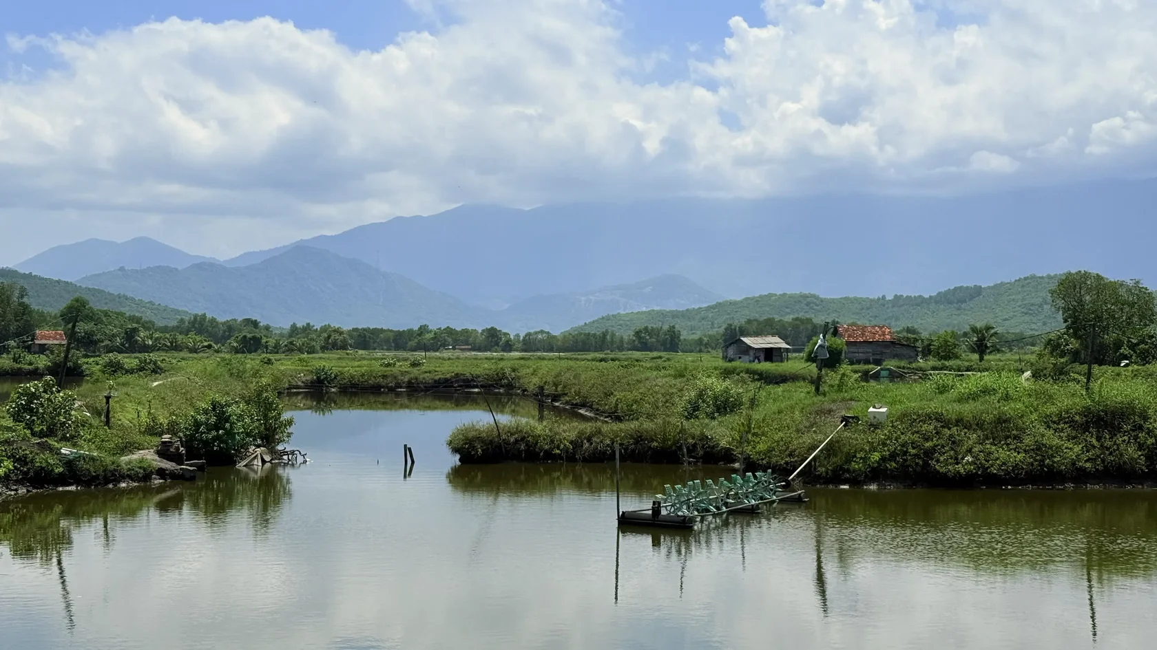 Окрестности Green Oasis