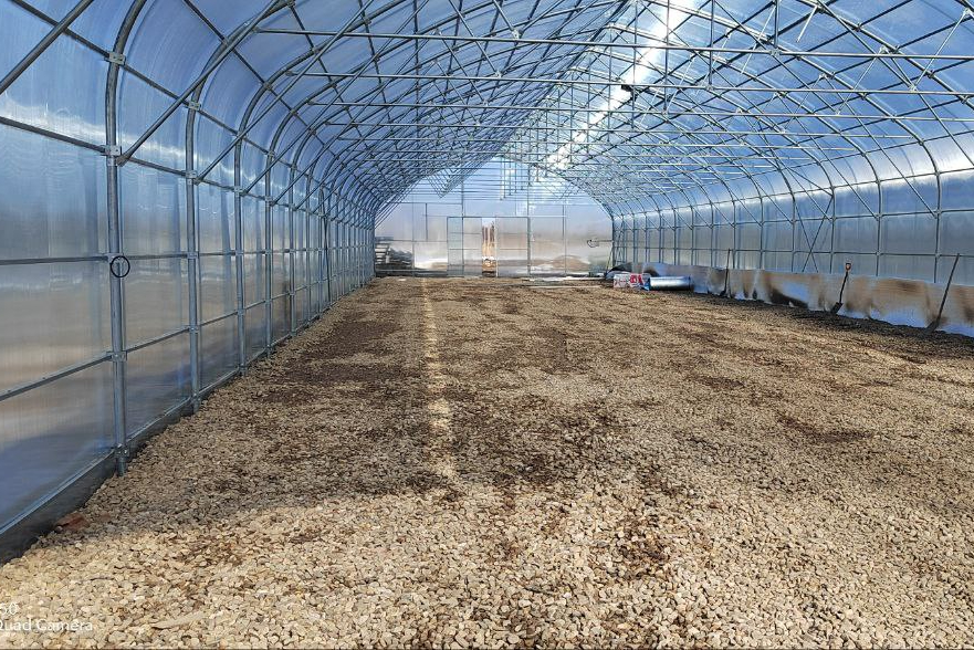 огород в теплице