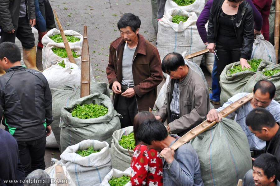 Фермеры продают сырой чайный лист владельцам мануфактур по производству чая.