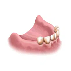 имплантация зубов, имплантация зубов Голицыно, стоматология в Голицыно, имплантация зубов цена, имплантация зубов под ключ, имплантация зубов под ключ цена, имплантация зубов МСК, имплантация Москва, зубной имплант Голицыно, установка импланта, зубное протезирование.