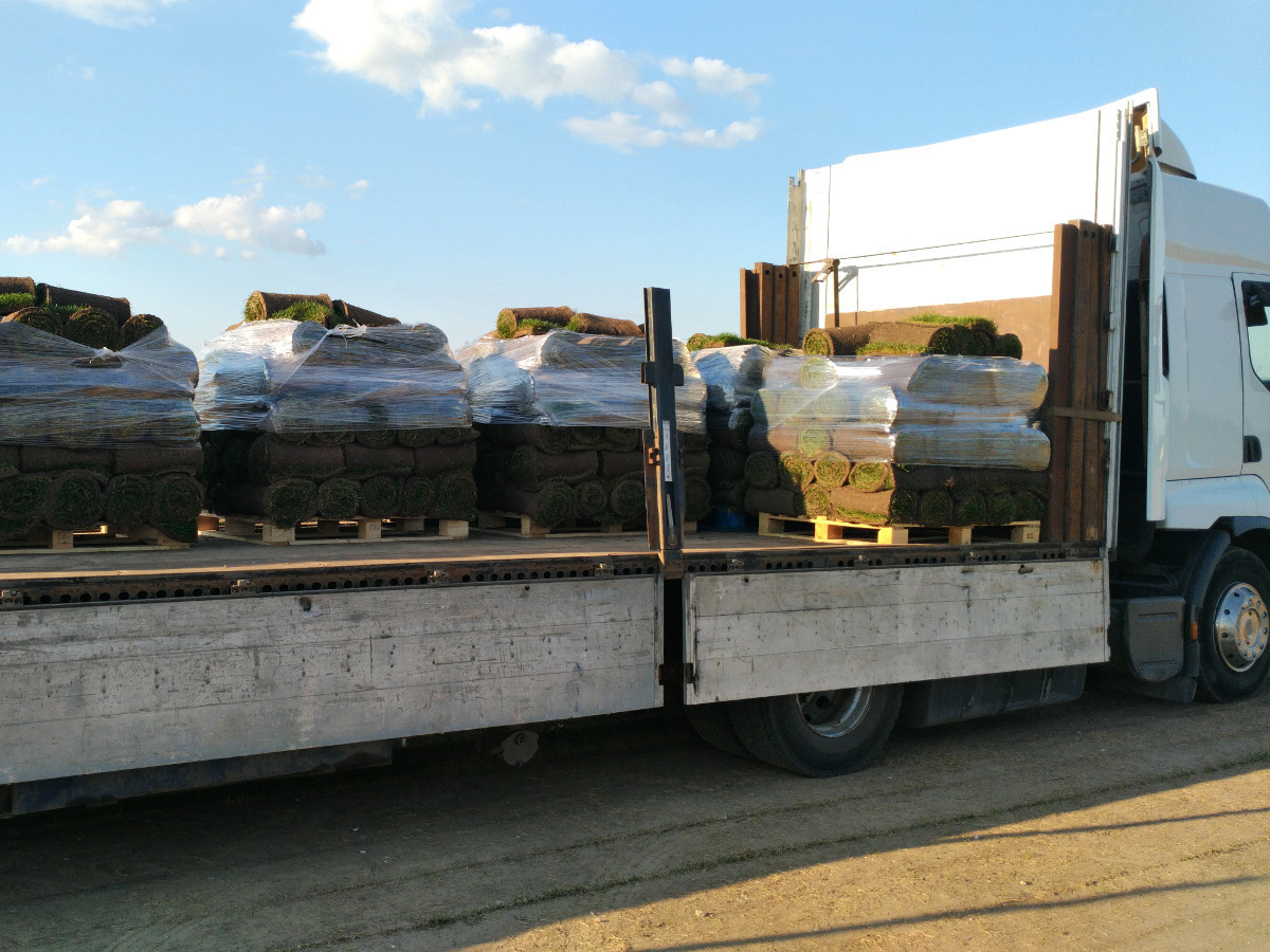 Бензовоз. Перевезти масло. Машина для перевозки бочек. Бочковое масло. Погрузки еврокубов в 20 футовый контейнер.