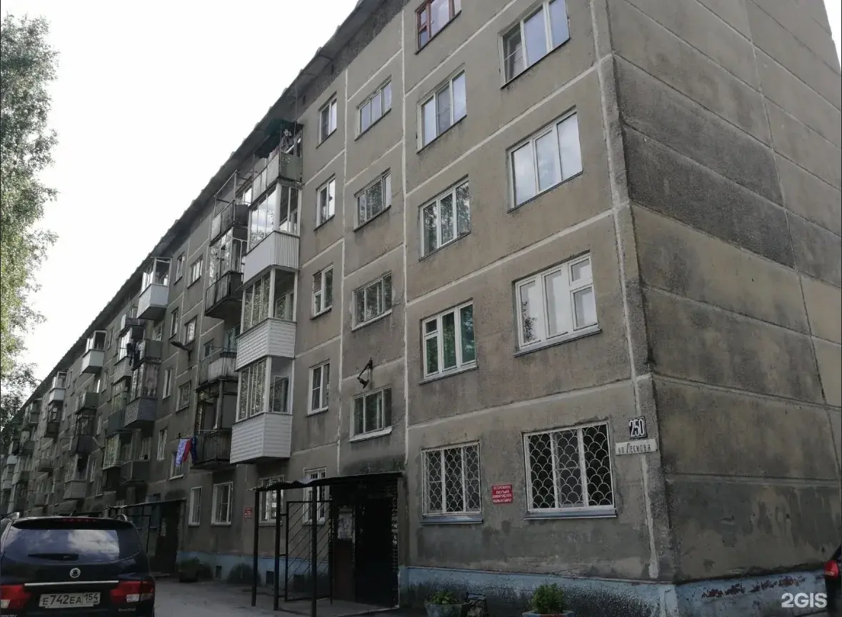 Дом Лескова, 250
