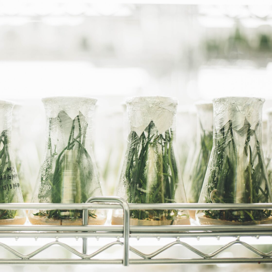 Agro-Bio-Technologies