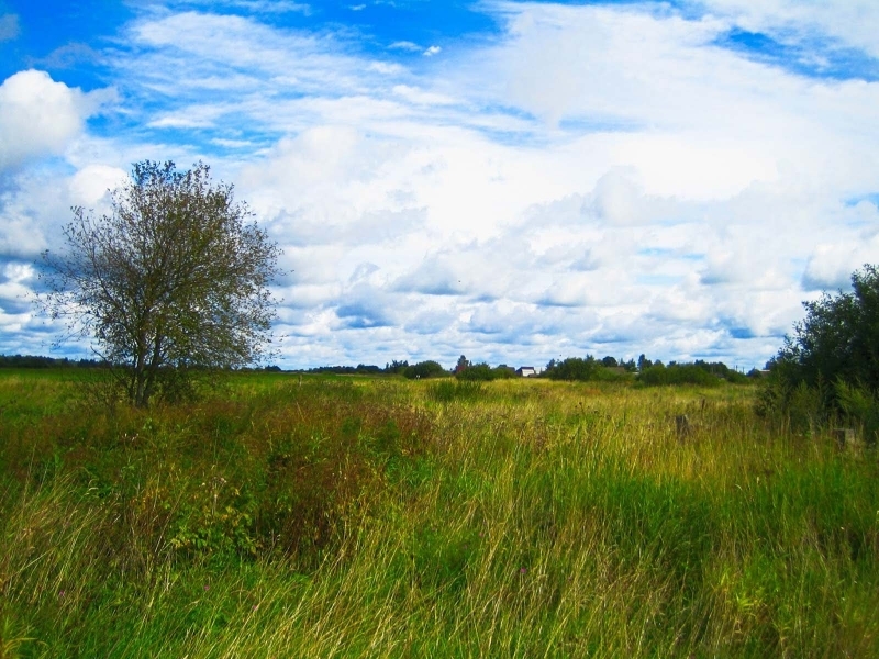 Слобода новгородская область