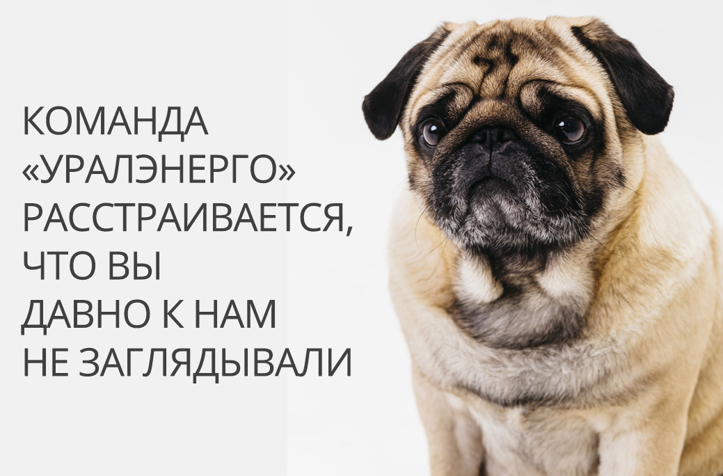 Команда АВС.экспресс расстраивается, что Вы давно к нам не заглядывали