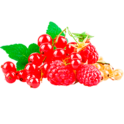 Нормы внесения Гумифулин и Органол для ягодных кустарников