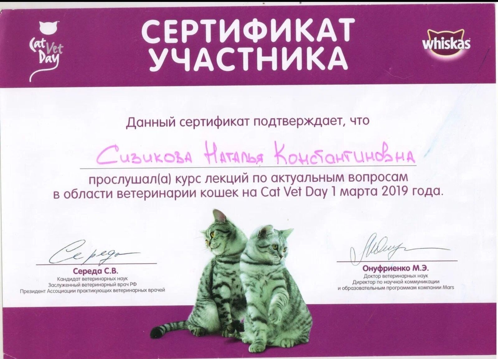 Сертификат об обучении 24