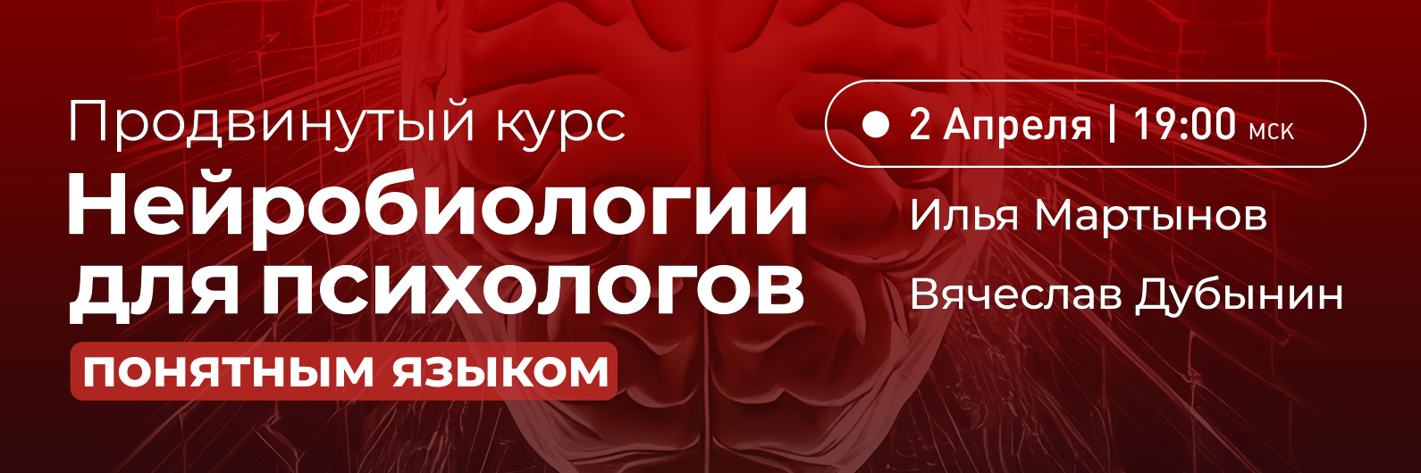 Курс нейробиологии для психологов понятным языком - 3-й поток