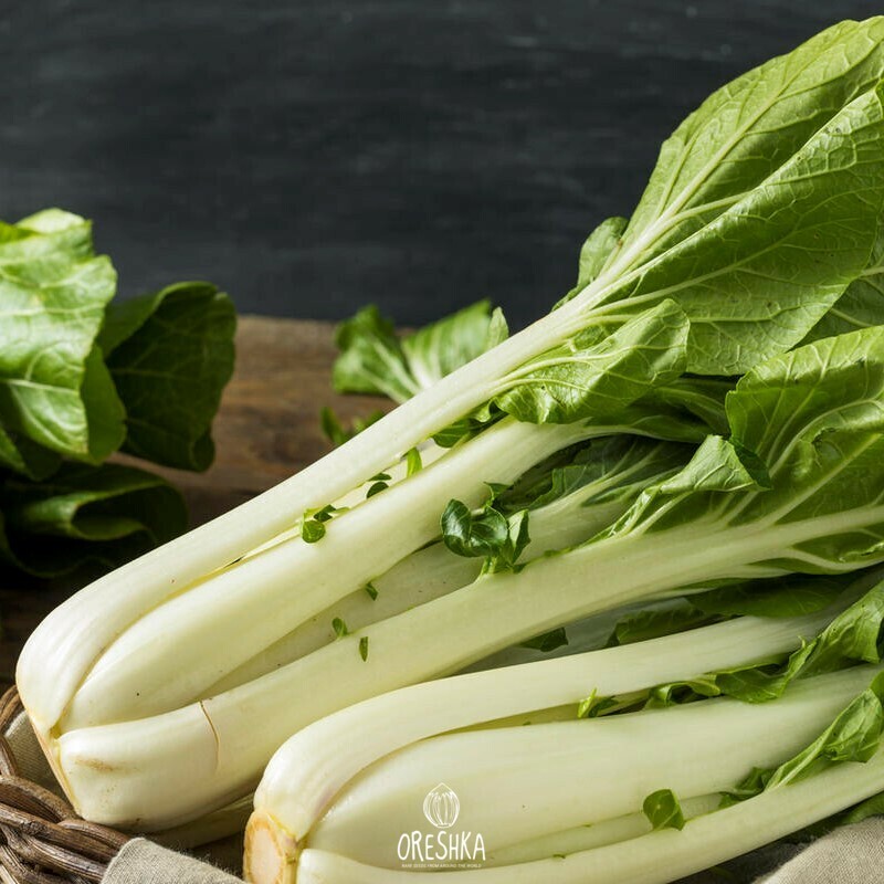 Seeds of Cabbage Chinese White Stonefly (Brassica rapa subsp. Pekinensis) — 30 pcs