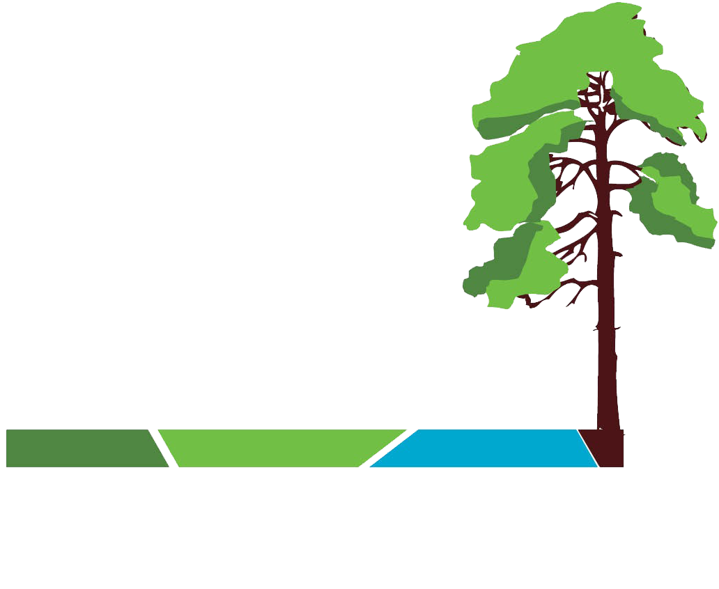 Карта лесные дали