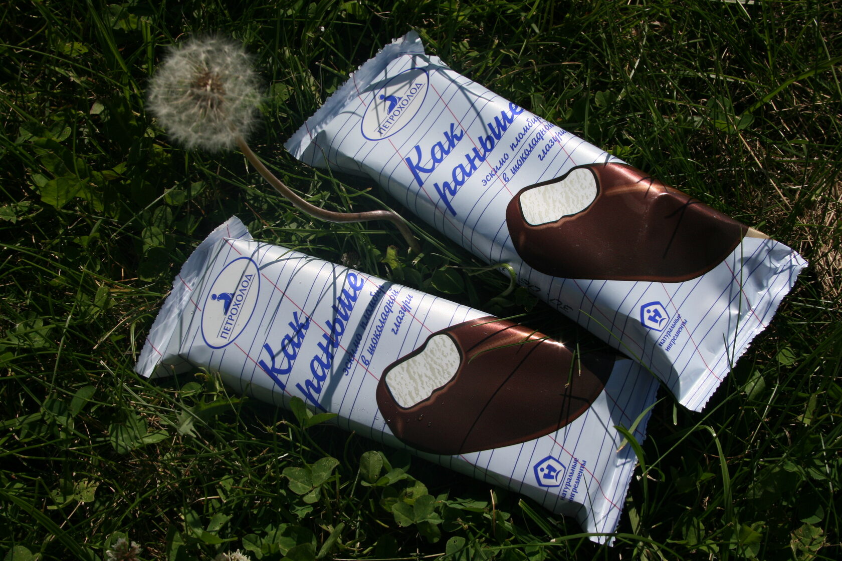 Новый «Литрес», матрёшка с шипами и холодец в форме эскимо: подборка брендинга и упаковки