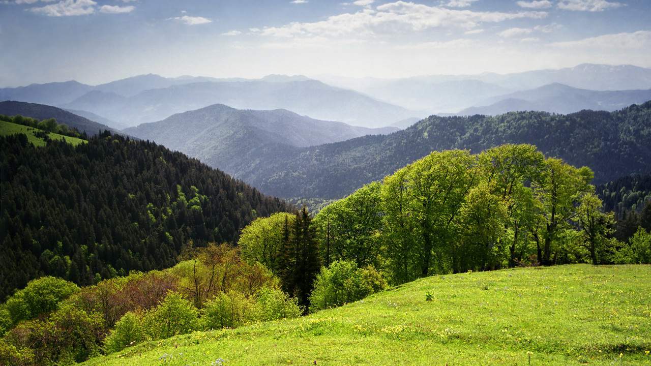 Грузия горы Боржоми