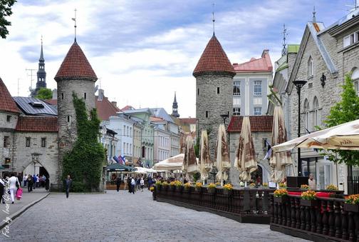 Страховка в Эстонию: медицинская, туристическая | Стоимость, купить онлайн