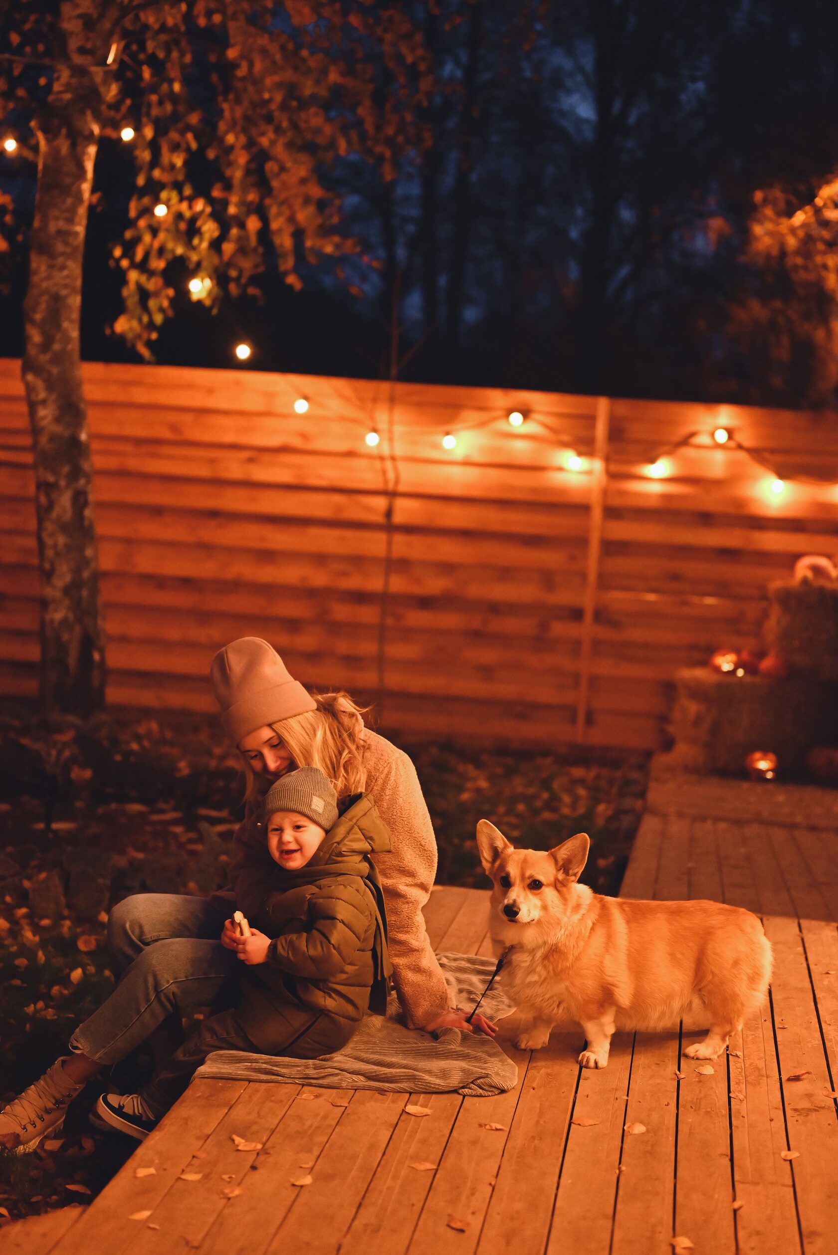 Пет френдли отель в Подмосковье