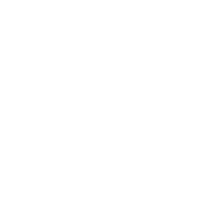 Бот