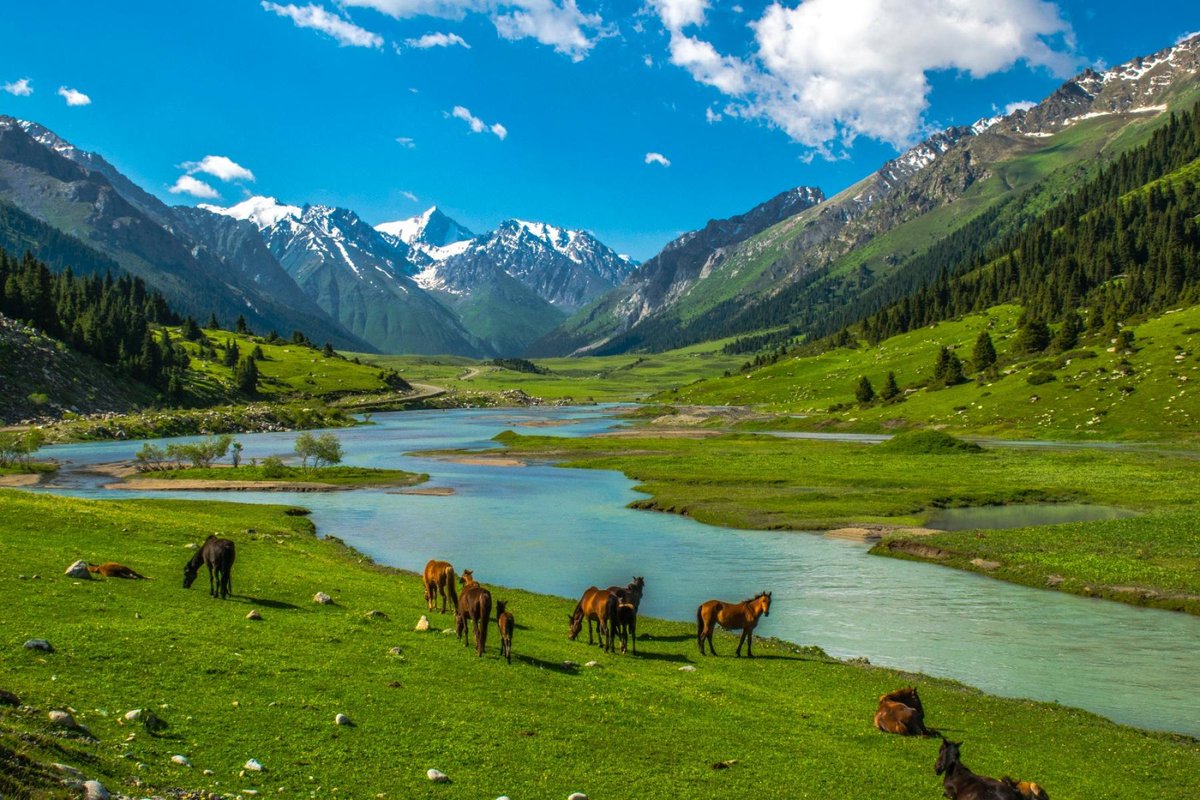 Природа Кыргызстана дайлоо