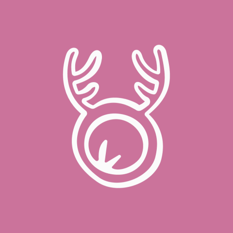 Олень · брендинг – обложка проекта