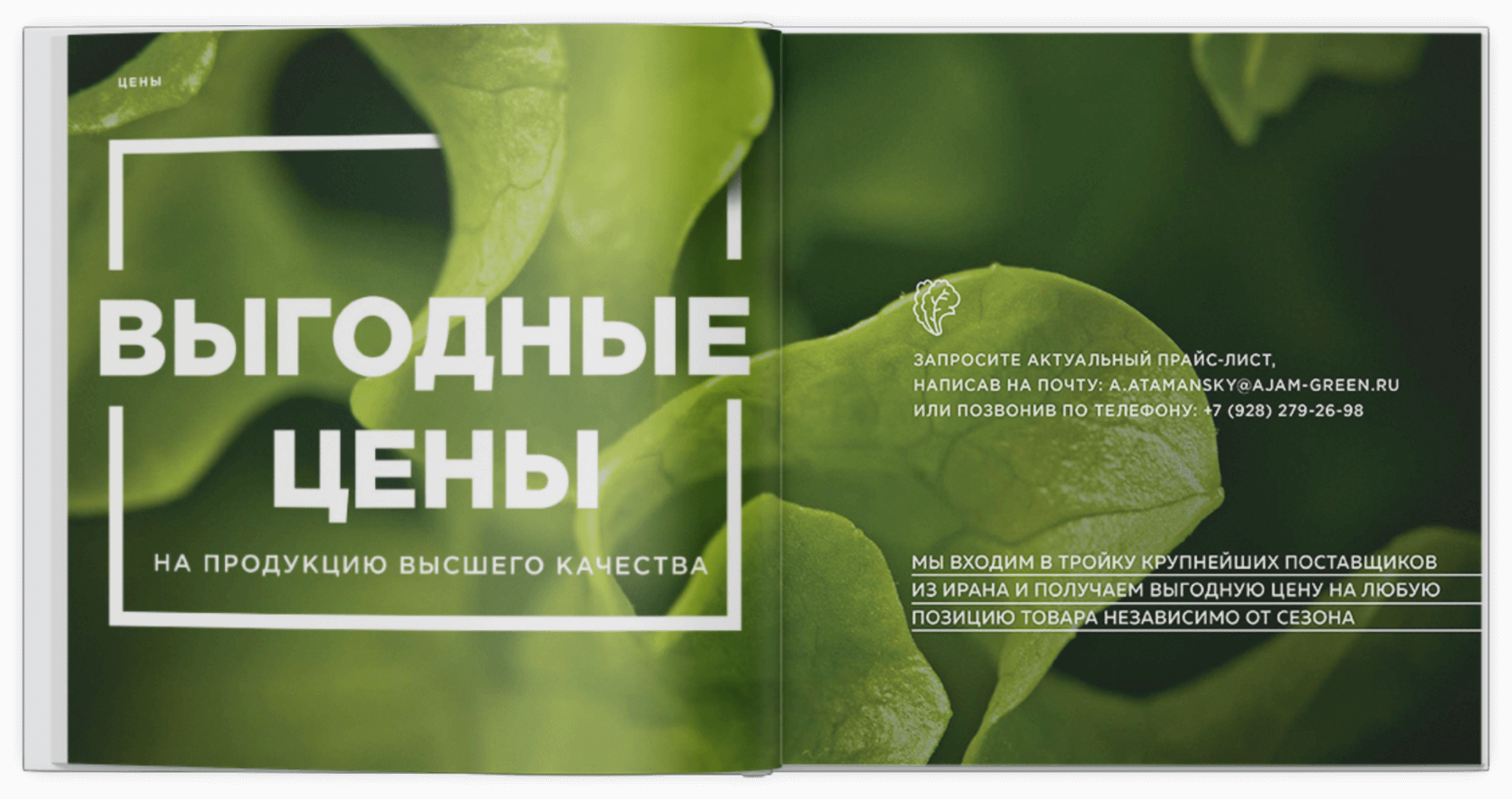 маркетинг-кит