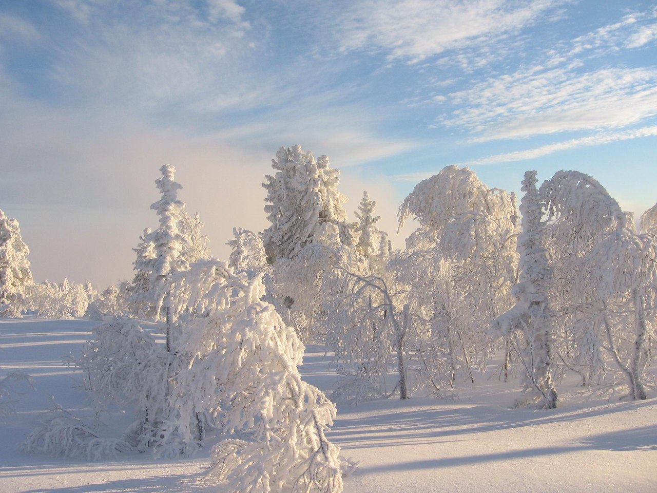 Природа Кемерово зимой