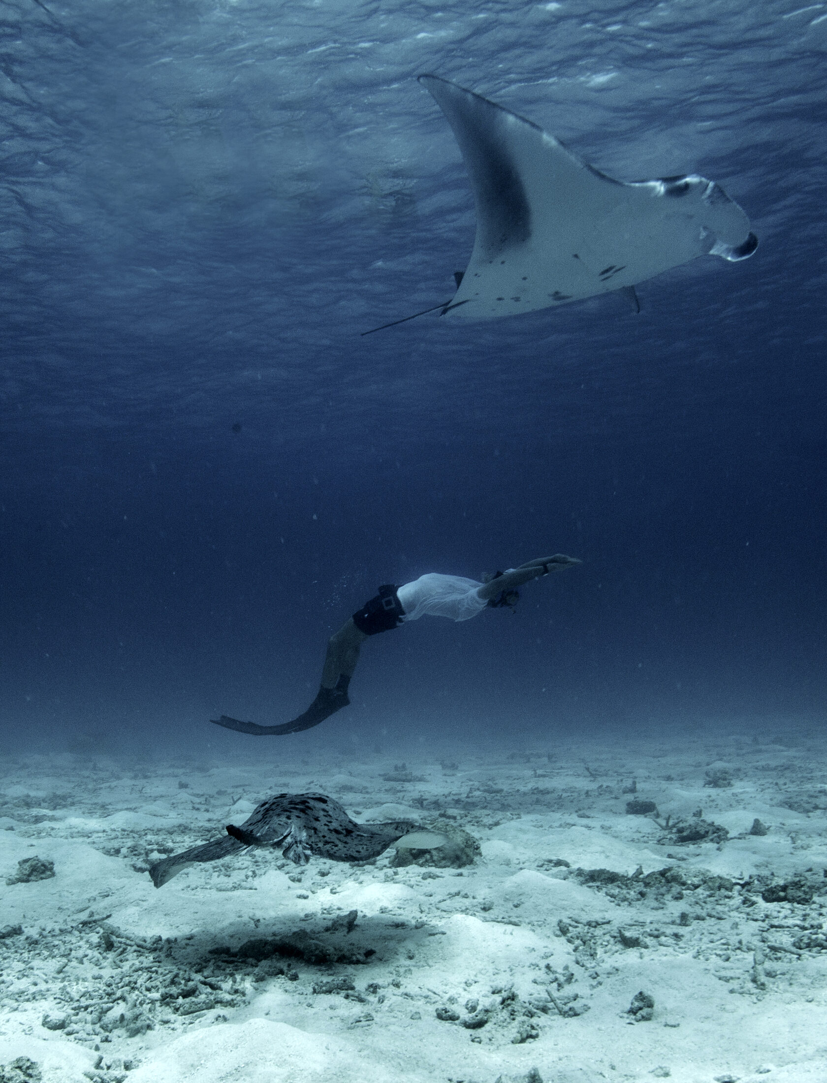 Manta Snorkeling Мальдивы