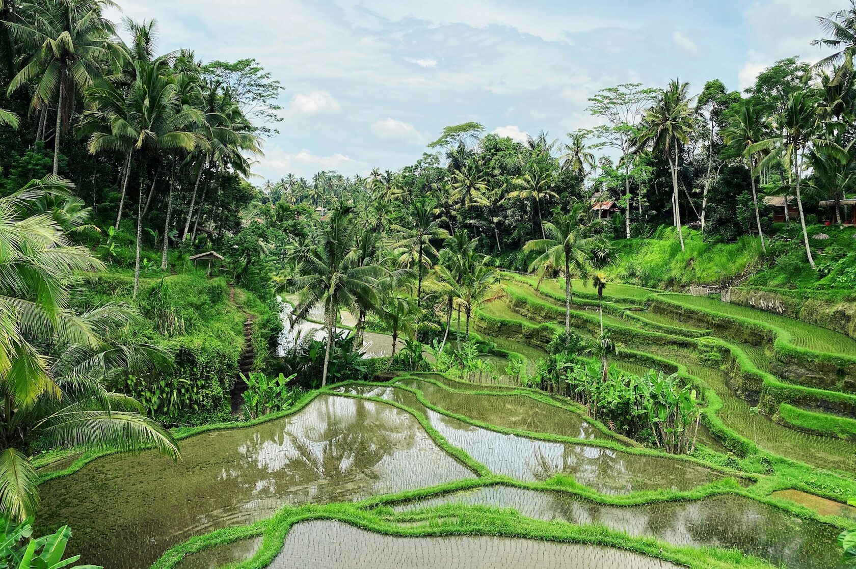 bali Fine dining