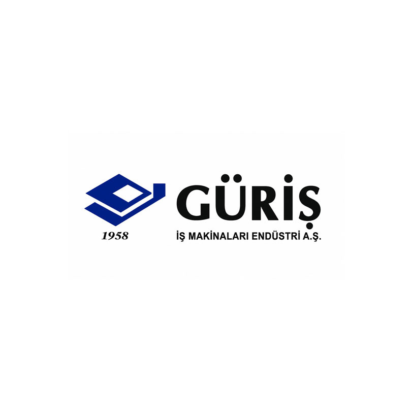 GÜRİŞ