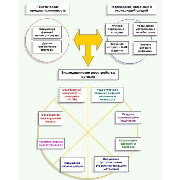 Причины РДА У детей схема. Схема патогенеза аутизма. Причины аутизма схема. Аутизм схема.