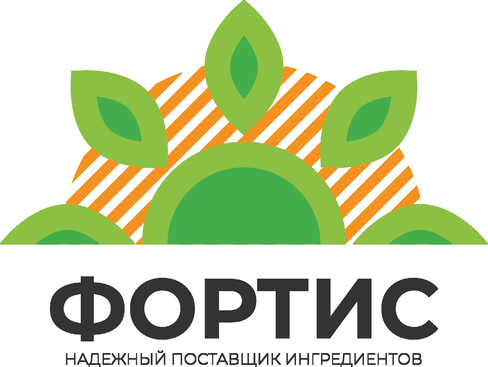 Ооо фортис