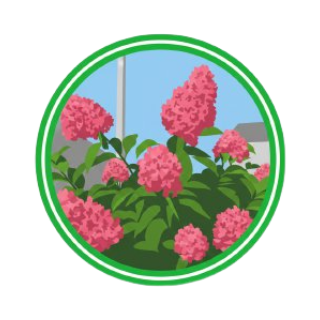 Растения с характером