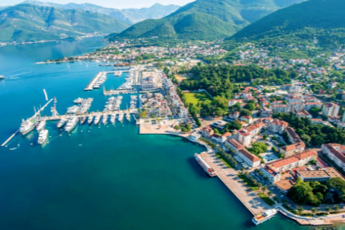 Виноградник Заграж черногорской винодельни Lipovac