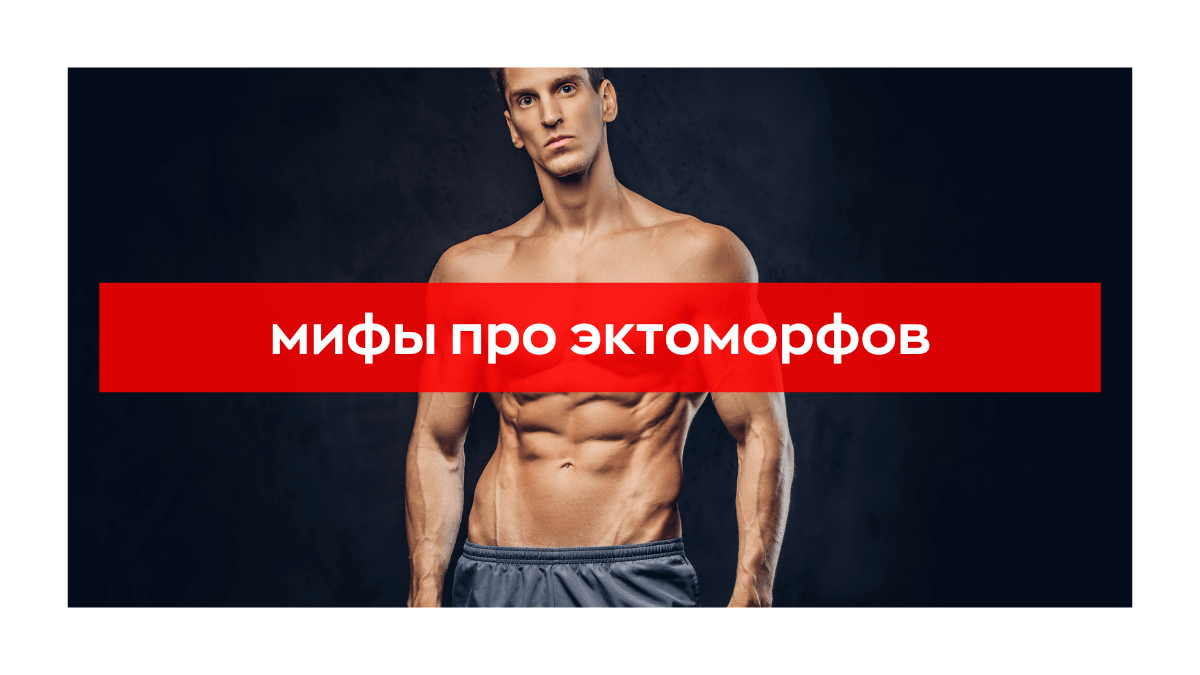 Эктоморф - характеристика телосложения, питание и тренировки