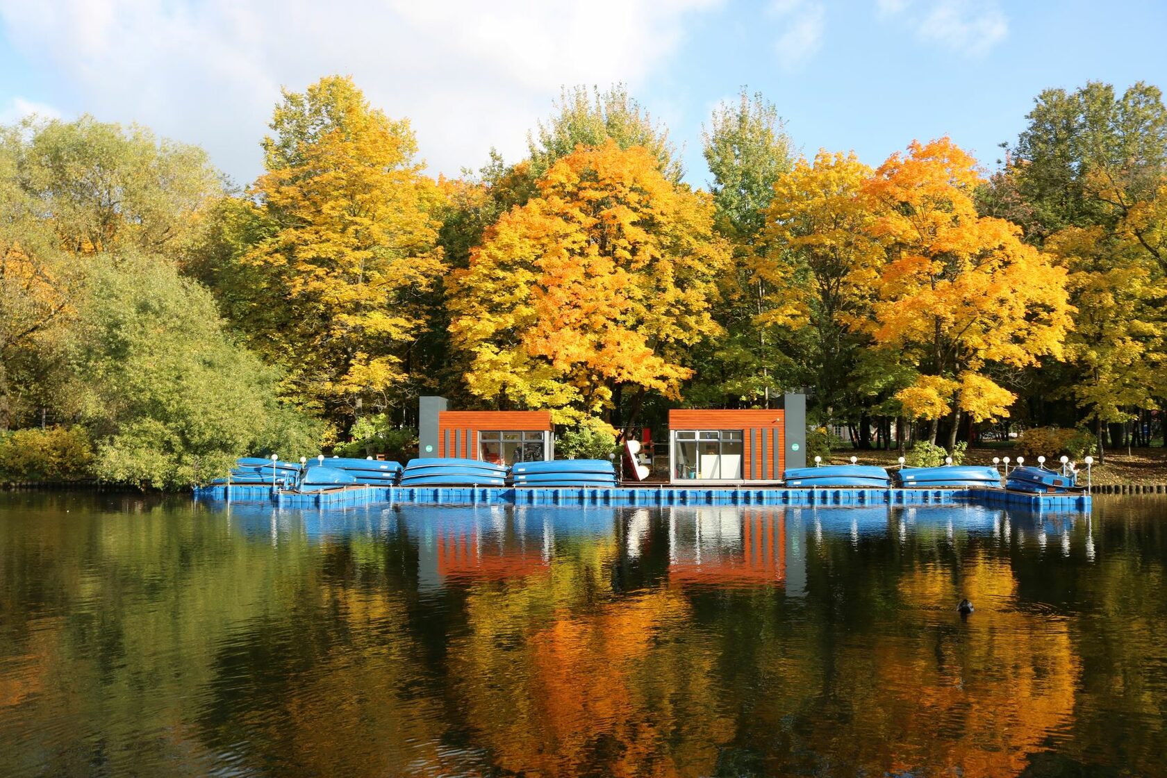 В каком парке можно