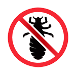 Обработка от вшей