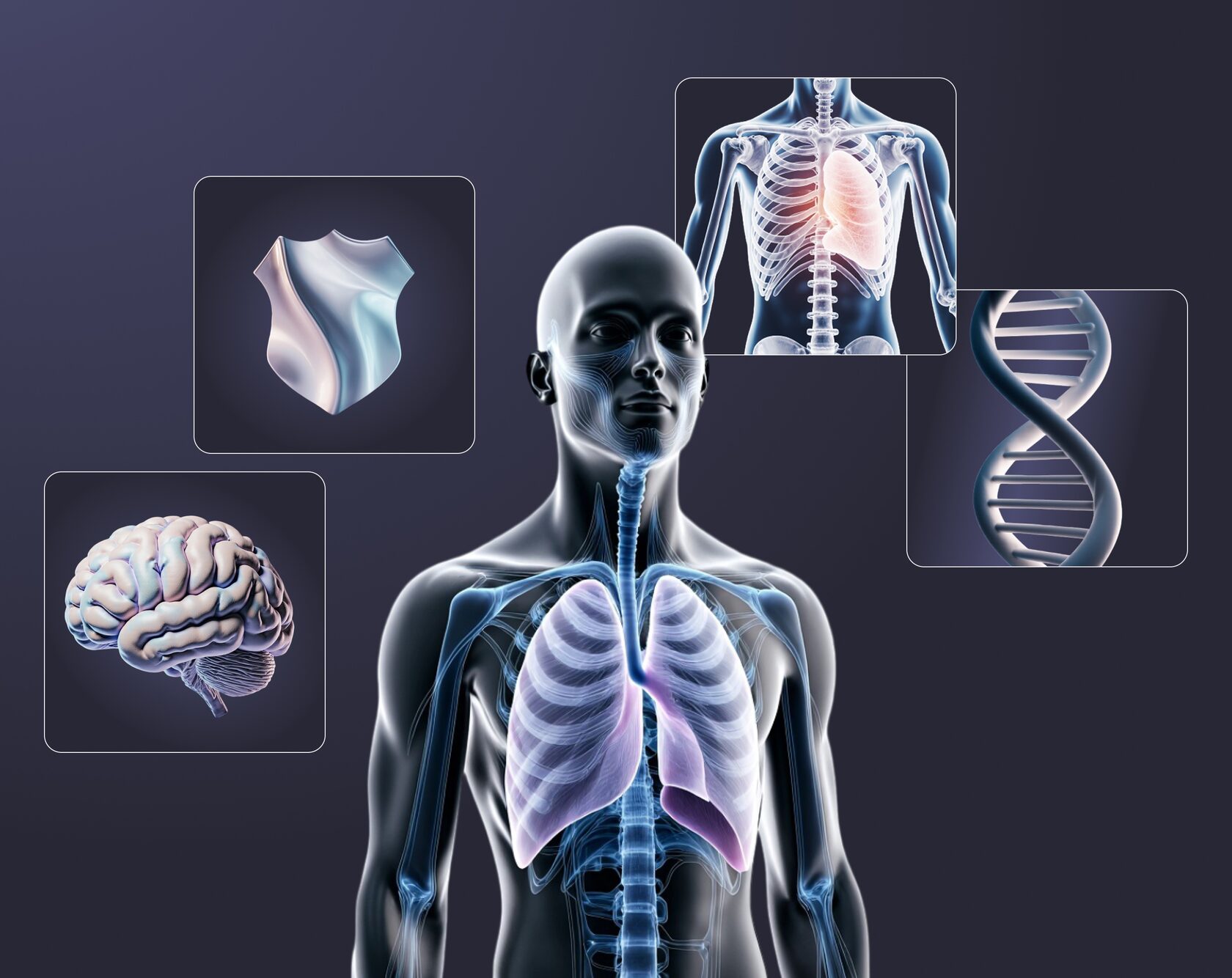AI-generated imagery for MediVero project – design concept by Irina Kats. It shows stylised, medical-related generated images.