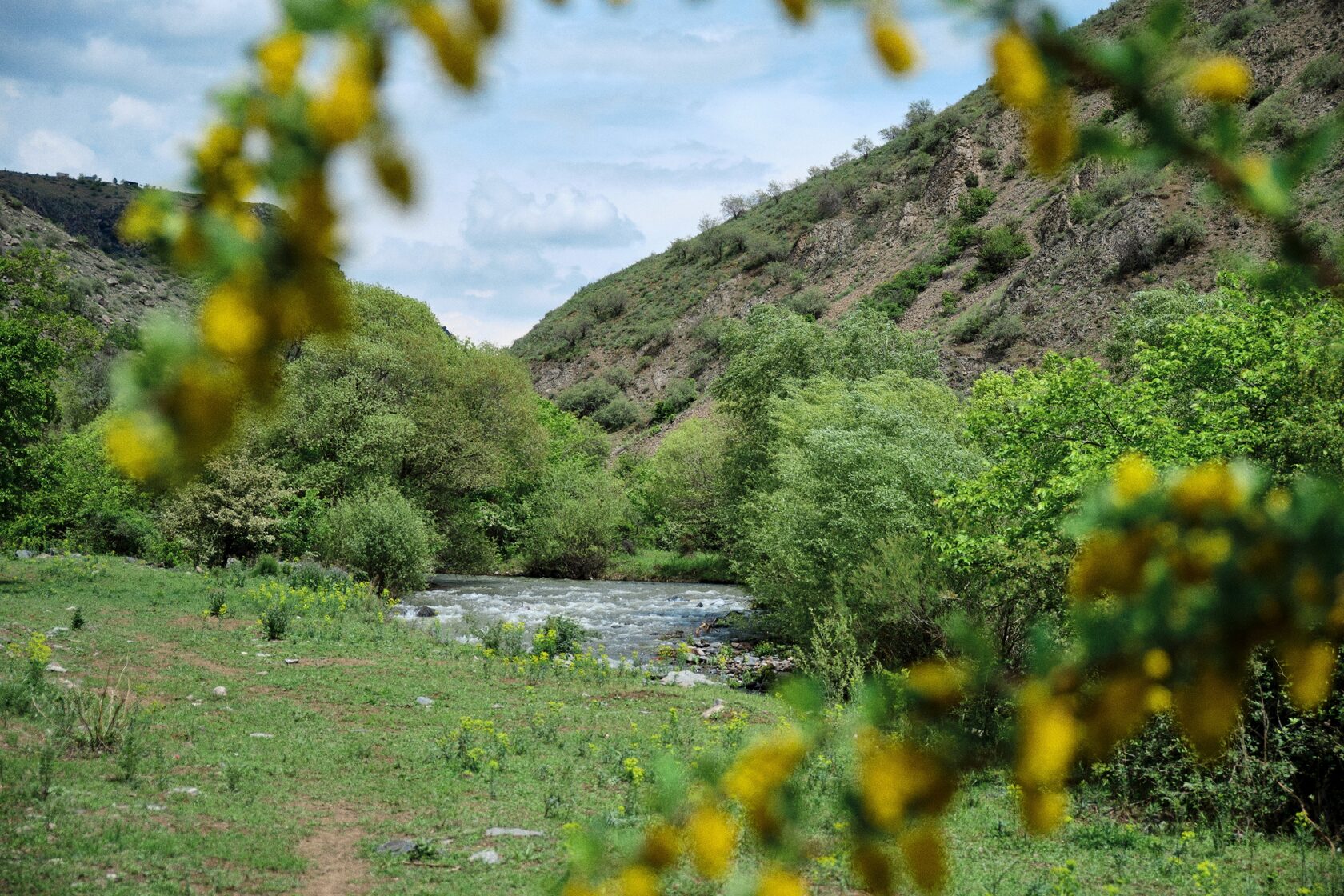 Горцакал 044 гарни