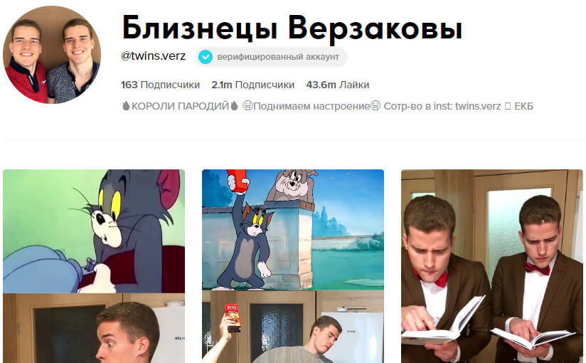 Пример Тик-Тока