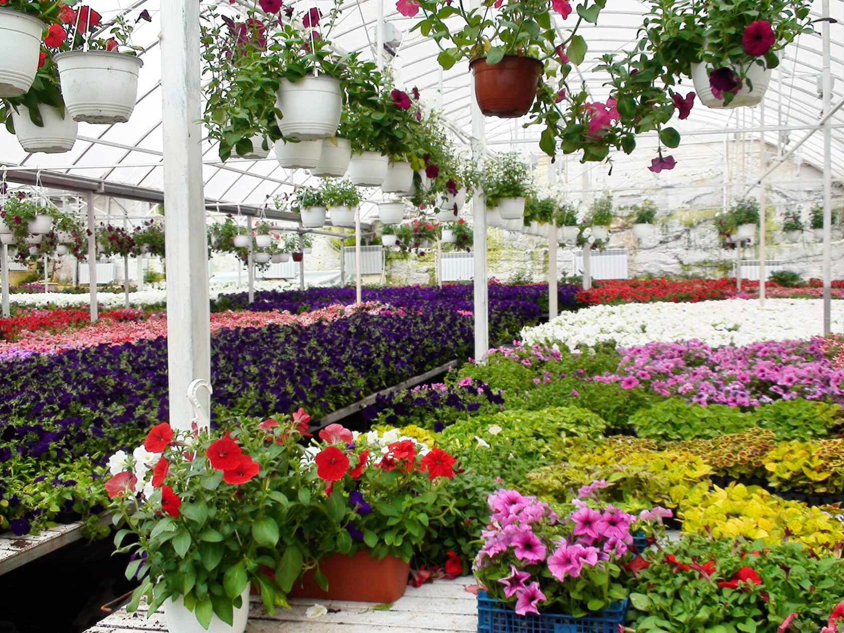 Цветочный дворЪ