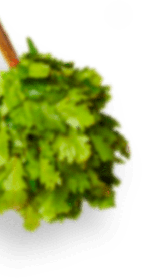 дубовый банный веник