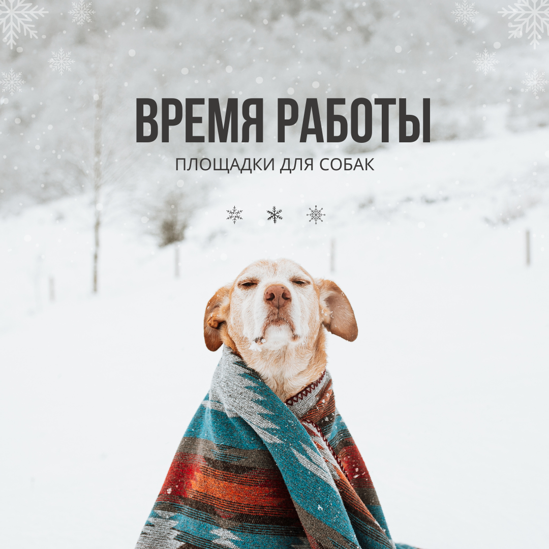 правила дрессировочной площадки