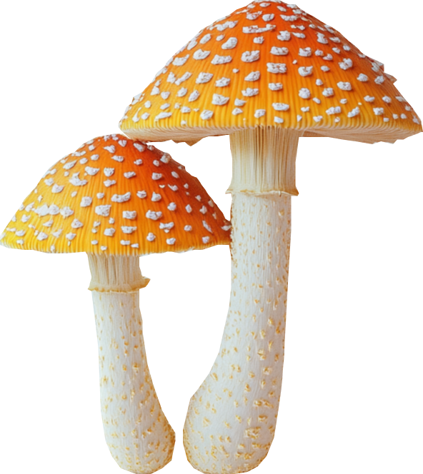 курс по нейросетям, курсы по нейросетям, курс по midjorney, курсы midjorney, курсы по нейросетям для начинающих, курсы по работе с нейросетями, обучение нейросетям, ии курсы, midjourne нейросеть, как использовать миджорни, как работать в миджорни