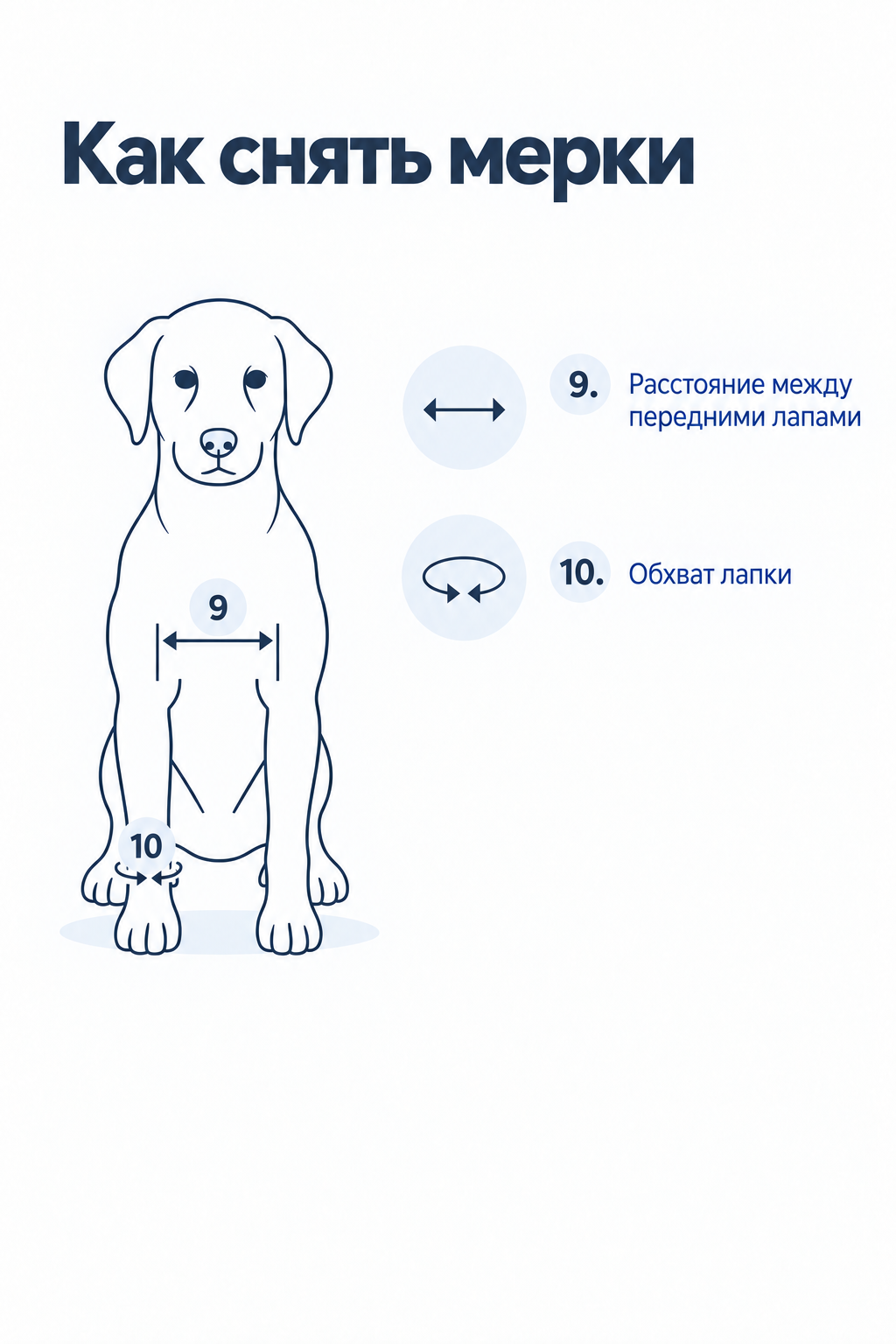 Мерки собаки 9–10