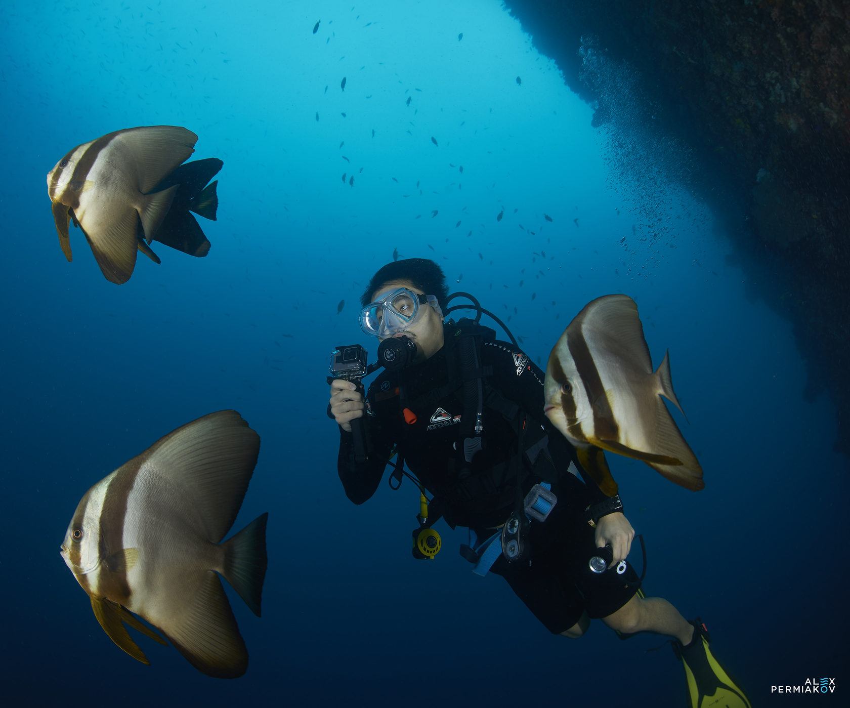 Dive more Pay less!!!