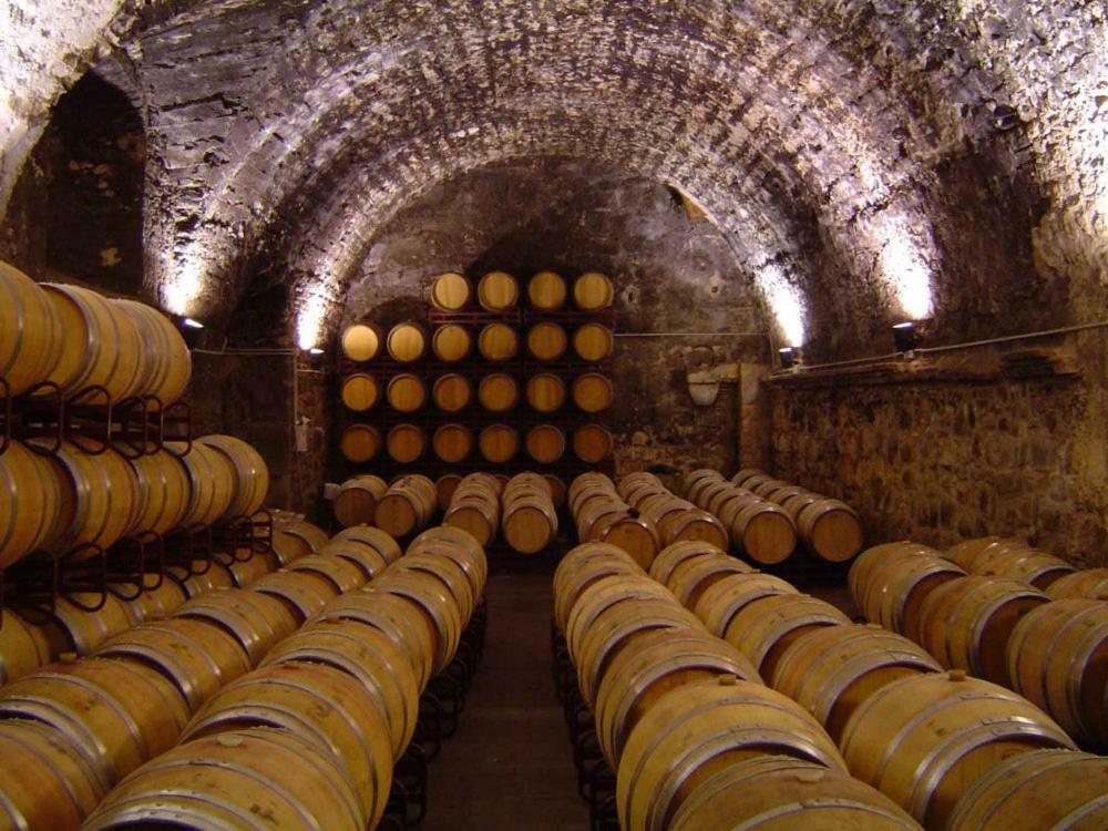 Private wine tour near Barcelona | Casamiga Events
