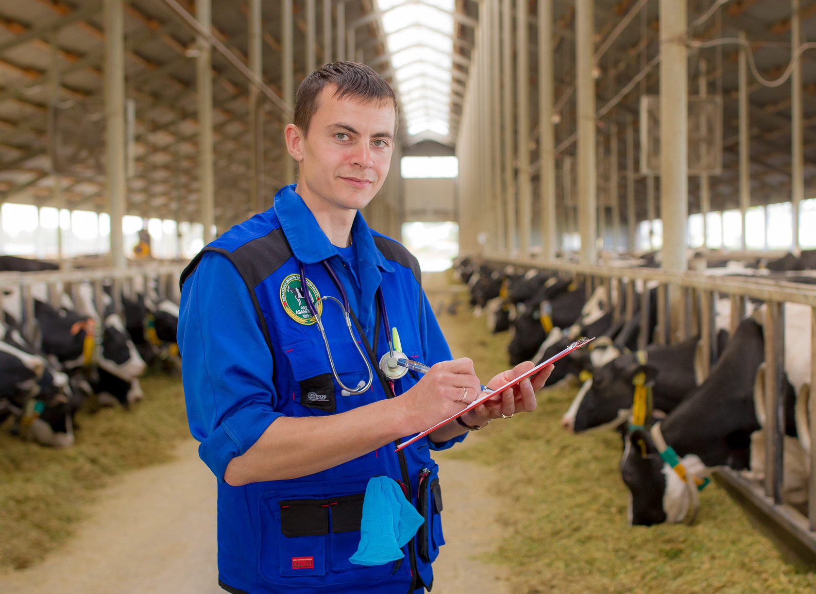 рязань ферма. ооо авангард рязанская область рязанский район село подвязье. ооо авангард рязанская область рязанский район село подвязье. ооо колхоз им ленина сивинский район. рязань ферма.