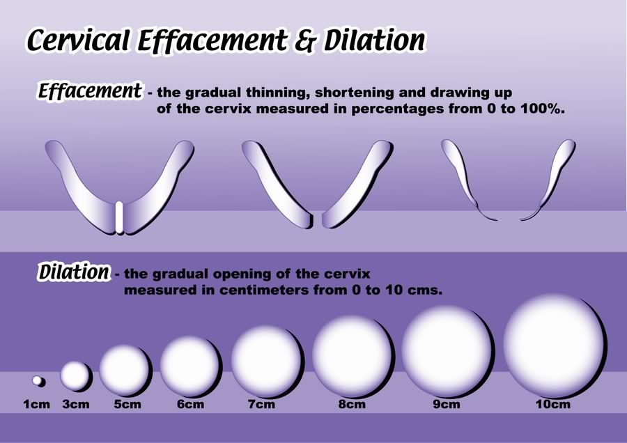 childbirth-education-products-childbirth-graphics