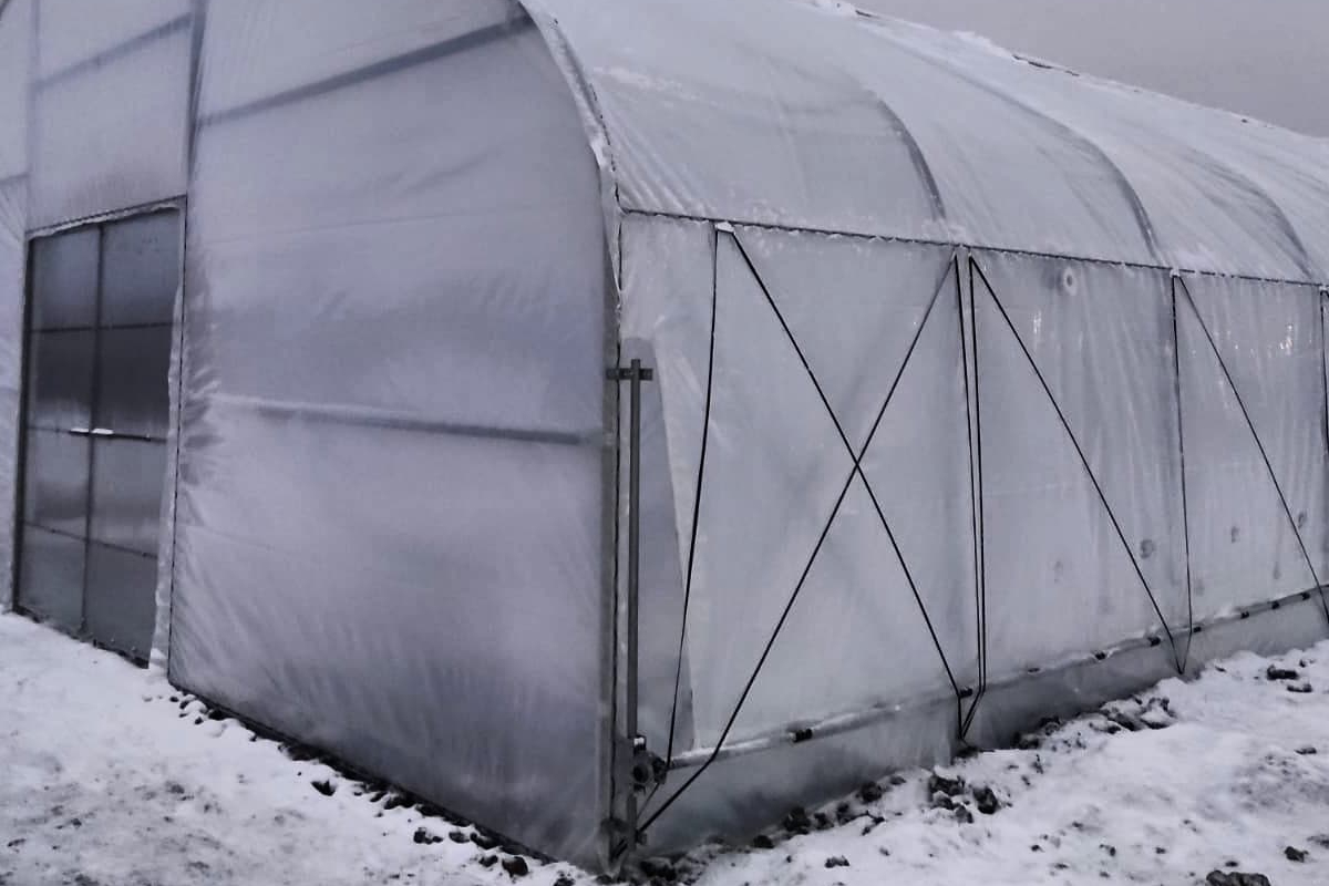 улучшение роста растений