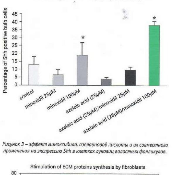 Эффект миноксидила и азелаиновой кислоты на экспрессию Shh