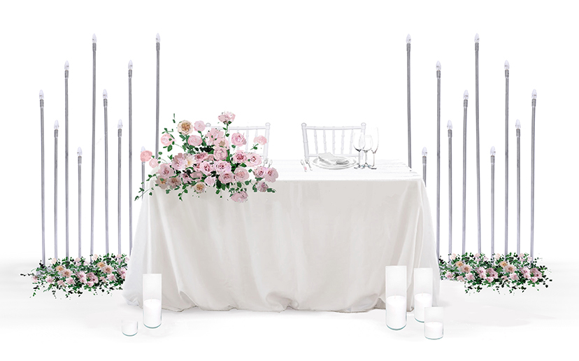 Президиум молодоженов Киев 