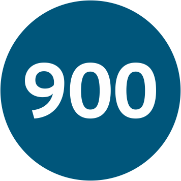 ЭПАМ 900
