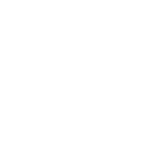 website icon